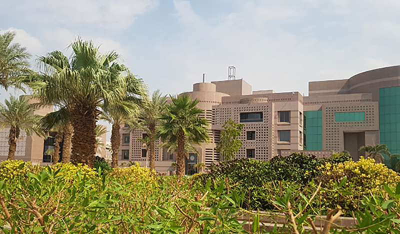 صورة الحياة الجامعية