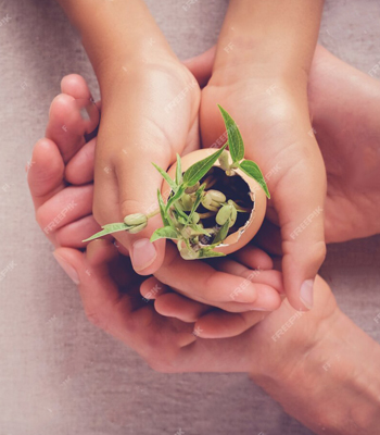 الخدمات الصحية